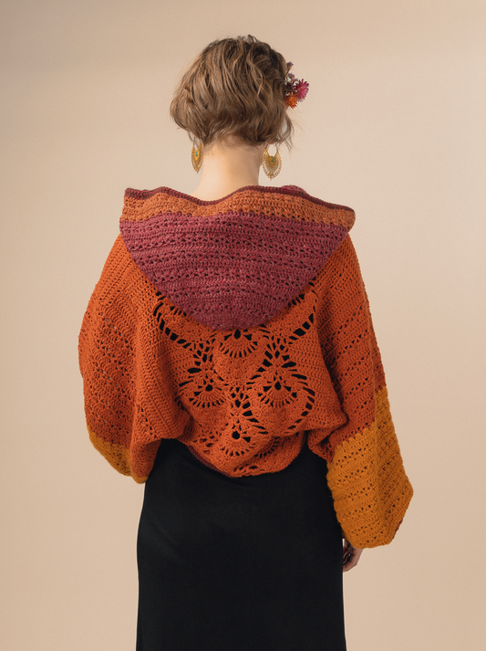 Buy Crochet Lace Long Sleeve Crop Top PATTERN // PDF Crochet Pattern Online  in India 